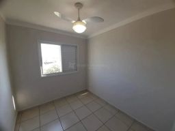 https://img.olx.com.br/thumbs256x256/35/351559282723665.jpg