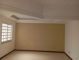 https://img.olx.com.br/thumbs256x256/35/351561161796656.jpg