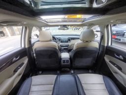 https://img.olx.com.br/thumbs256x256/35/351636673429876.jpg