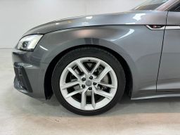 https://img.olx.com.br/thumbs256x256/35/352507641713781.jpg