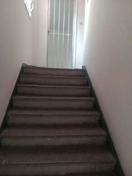 https://img.olx.com.br/thumbs256x256/35/352510282664195.jpg