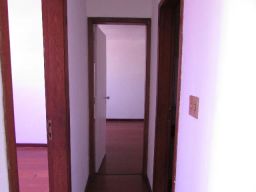 https://img.olx.com.br/thumbs256x256/35/352566765957513.jpg