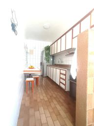 https://img.olx.com.br/thumbs256x256/35/352605453441628.jpg