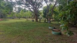 https://img.olx.com.br/thumbs256x256/35/352615553414738.jpg