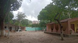https://img.olx.com.br/thumbs256x256/35/354512645750207.jpg