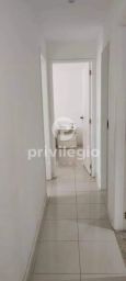 https://img.olx.com.br/thumbs256x256/35/354529394963463.jpg