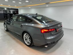 https://img.olx.com.br/thumbs256x256/35/354597645918321.jpg