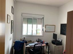 https://img.olx.com.br/thumbs256x256/35/355526164770476.jpg