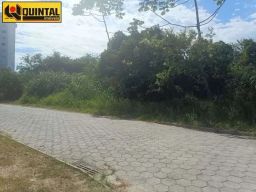 https://img.olx.com.br/thumbs256x256/35/355562156337731.jpg