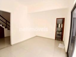 https://img.olx.com.br/thumbs256x256/35/355562274575300.jpg