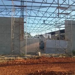 https://img.olx.com.br/thumbs256x256/35/355582285771897.jpg
