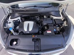 https://img.olx.com.br/thumbs256x256/35/355605559897065.jpg