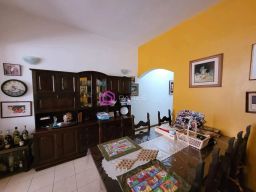 https://img.olx.com.br/thumbs256x256/35/356528275489109.jpg