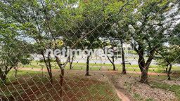 https://img.olx.com.br/thumbs256x256/35/356573166735553.jpg