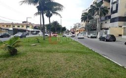 https://img.olx.com.br/thumbs256x256/35/356644438983943.jpg