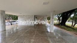 https://img.olx.com.br/thumbs256x256/35/357505409843529.jpg