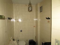 https://img.olx.com.br/thumbs256x256/35/357551889715461.jpg