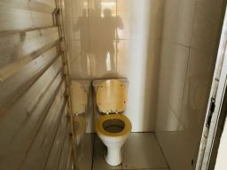 https://img.olx.com.br/thumbs256x256/35/357565160227175.jpg