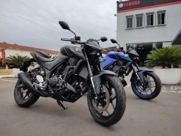 https://img.olx.com.br/thumbs256x256/35/358331812904309.jpg