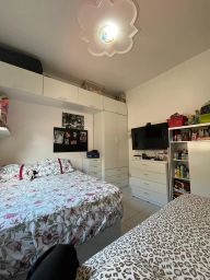 https://img.olx.com.br/thumbs256x256/35/358502768833034.jpg
