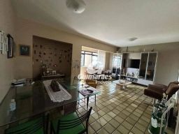 https://img.olx.com.br/thumbs256x256/35/358517397541705.jpg