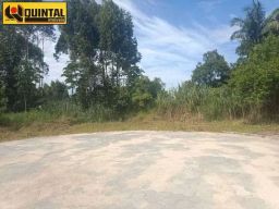https://img.olx.com.br/thumbs256x256/35/358527753466357.jpg