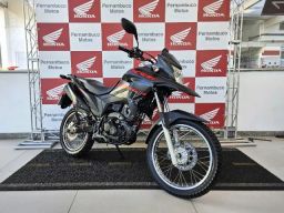 https://img.olx.com.br/thumbs256x256/35/358548285597981.jpg