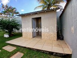 https://img.olx.com.br/thumbs256x256/36/360509409160483.jpg
