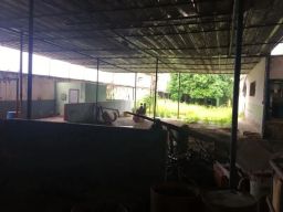 https://img.olx.com.br/thumbs256x256/36/360554888370407.jpg