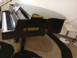 https://img.olx.com.br/thumbs256x256/36/360586361352955.jpg