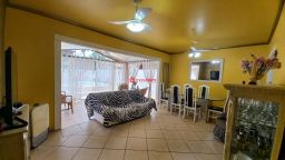 https://img.olx.com.br/thumbs256x256/36/360596375458834.jpg