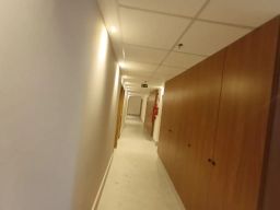 https://img.olx.com.br/thumbs256x256/36/360617442707622.jpg