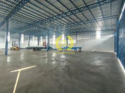 https://img.olx.com.br/thumbs256x256/36/360642576845952.jpg