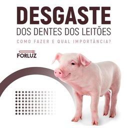 Título do anúncio: Desbastador de Dentes Para Porcos