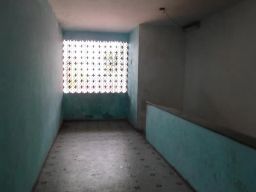 https://img.olx.com.br/thumbs256x256/36/361503743416808.jpg
