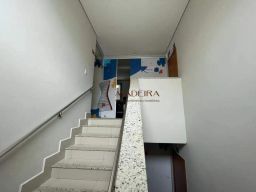 https://img.olx.com.br/thumbs256x256/36/361516525556649.jpg