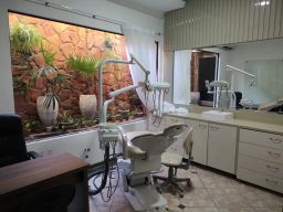 https://img.olx.com.br/thumbs256x256/36/361597759743521.jpg