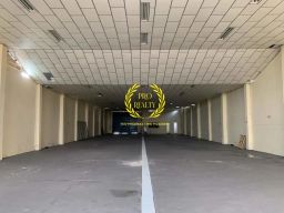 https://img.olx.com.br/thumbs256x256/36/361681077377003.jpg