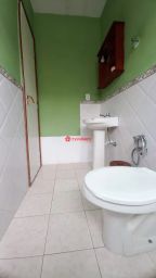 https://img.olx.com.br/thumbs256x256/36/362520730372946.jpg