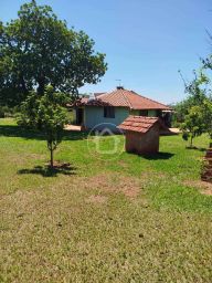 https://img.olx.com.br/thumbs256x256/36/362545763433787.jpg