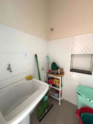 https://img.olx.com.br/thumbs256x256/36/362583396327073.jpg