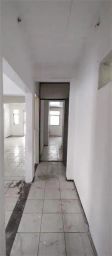 https://img.olx.com.br/thumbs256x256/36/362594882308587.jpg
