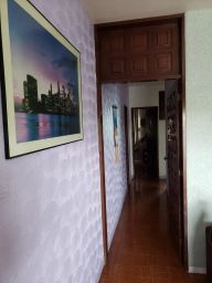 https://img.olx.com.br/thumbs256x256/36/362654313517616.jpg