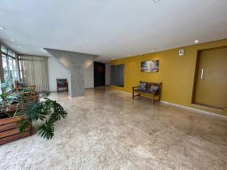 https://img.olx.com.br/thumbs256x256/36/362690426263074.jpg