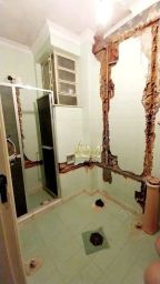 https://img.olx.com.br/thumbs256x256/36/363535750764590.jpg