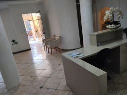 https://img.olx.com.br/thumbs256x256/36/363542273518326.jpg