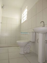 https://img.olx.com.br/thumbs256x256/36/364508045582441.jpg
