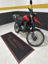 https://img.olx.com.br/thumbs256x256/36/364524859135624.jpg