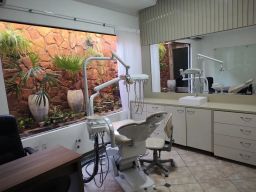 https://img.olx.com.br/thumbs256x256/36/364526038592030.jpg