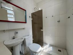 https://img.olx.com.br/thumbs256x256/36/364539150472951.jpg